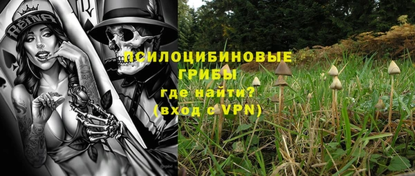 прущий лед Вязники