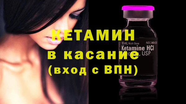 сатива Верея
