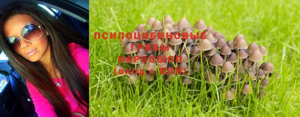 бутират Вяземский