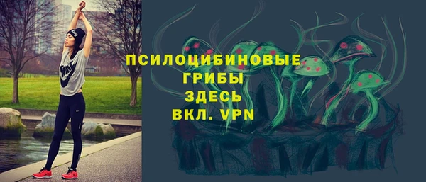 не бодяженный Волоколамск