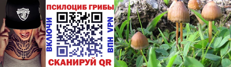 Галлюциногенные грибы GOLDEN TEACHER  Купить  Харабали 